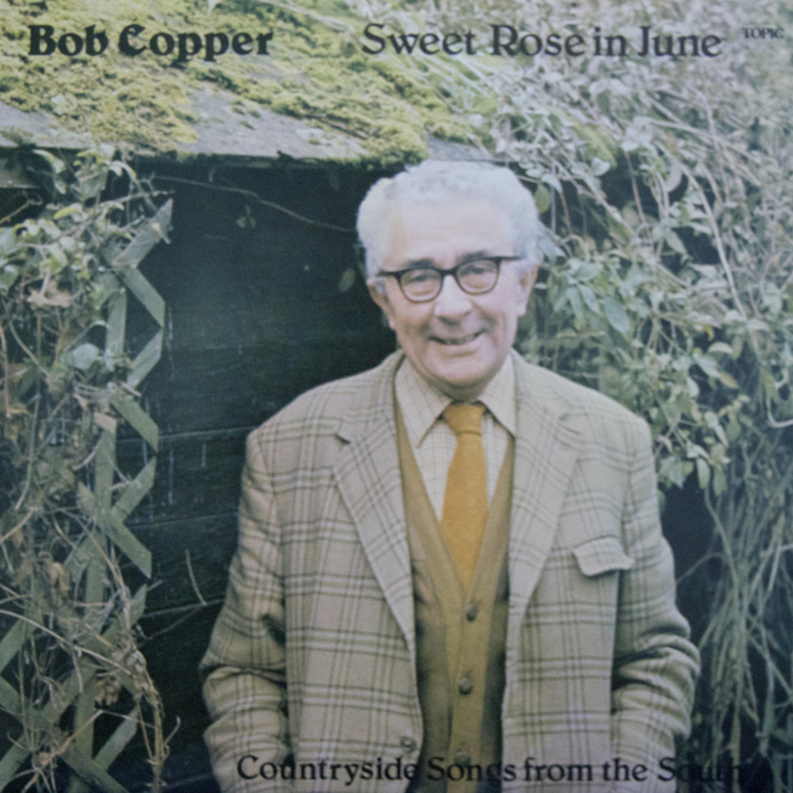 Sweet Rose in June - Countryside Songs from the South