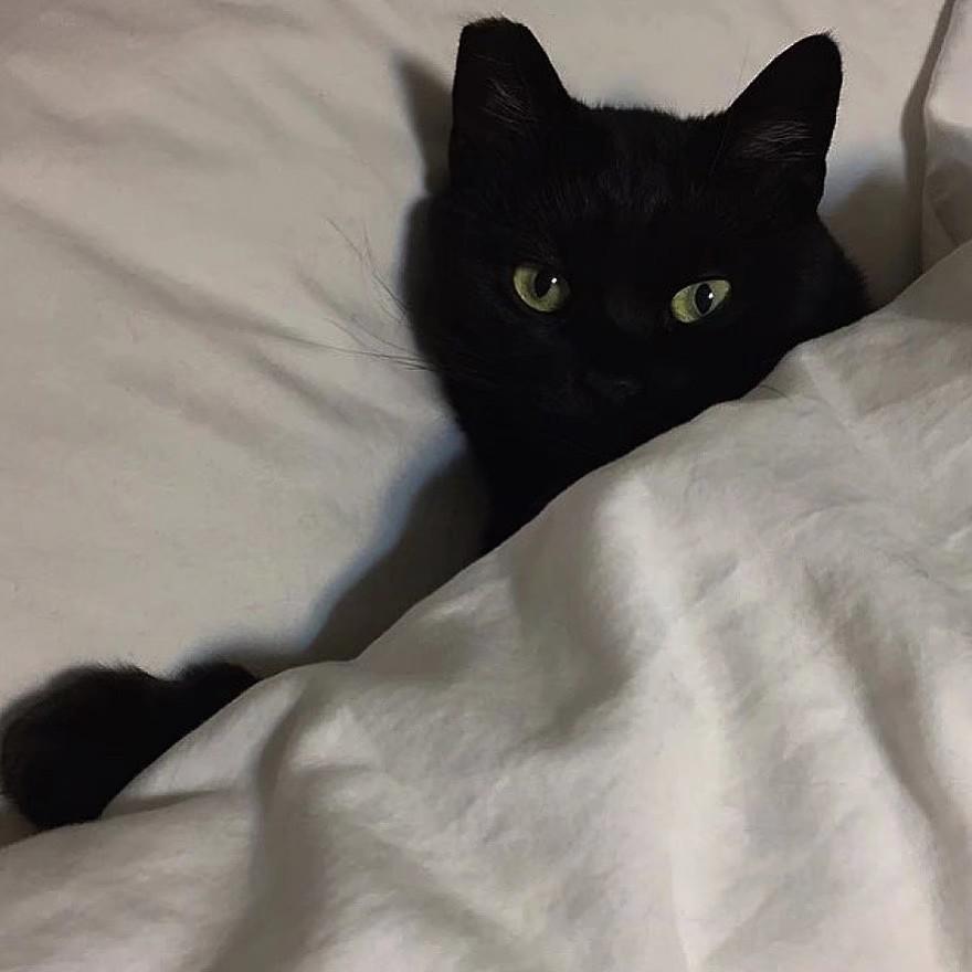 죽을 만큼 아파서 （死一样的痛苦）