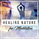 Healing Nature for Meditation – Soothing Sounds for Deep Relief, Anti Stress Music, Training Yoga, D专辑