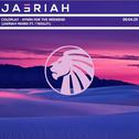 Hymn for the weekend (Jaeriah Remix)专辑