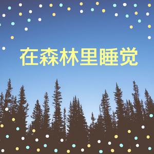 平静的夜晚 （升4半音）