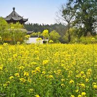 D调抒情歌曲联奏(女儿情)刘建飞制作范本