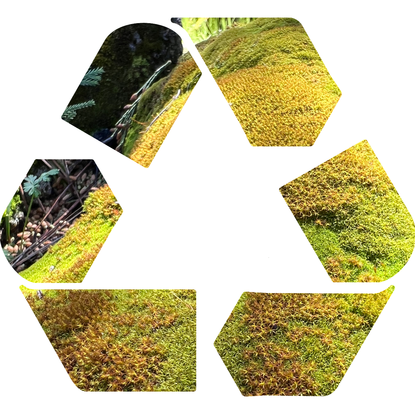 停止呼吸(Prod.我)