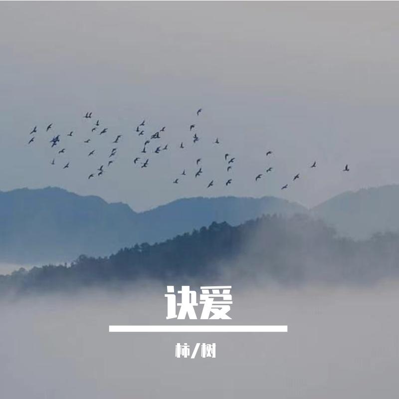 诀爱