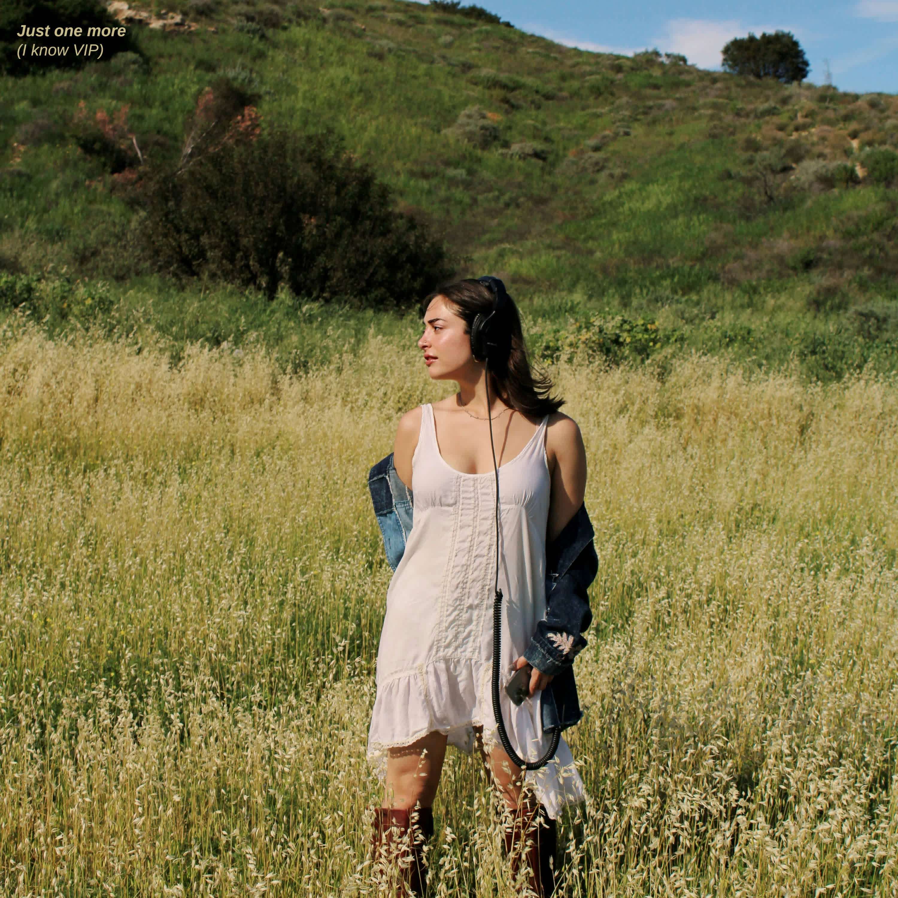 Just one more (I know VIP)