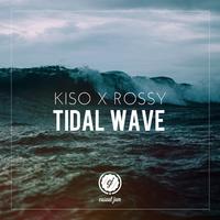 Tidal Wave (Owl City 伴奏)