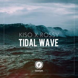Tidal Wave 【Owl City 伴奏】 （升5半音）
