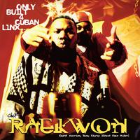 Raekwon - Can It Be All So Simple ( Instrumental )