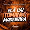 Dj Edson Lukas - Ela Vai Tomando Madeirada