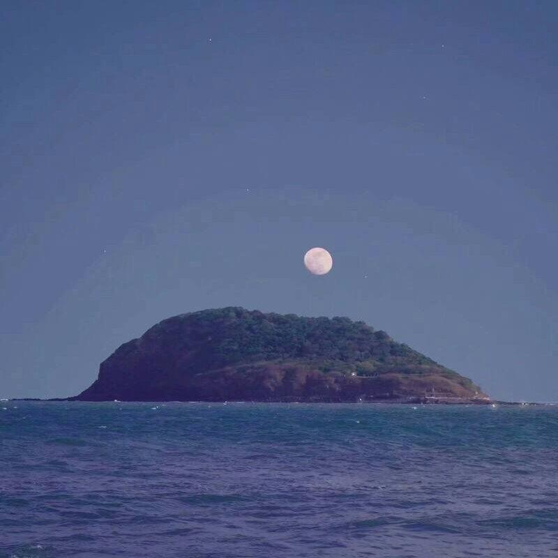 无人之岛(cover任然)