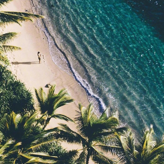 夏日音乐物语：汽水和沙滩可兼得