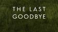 The Last Goodbye专辑