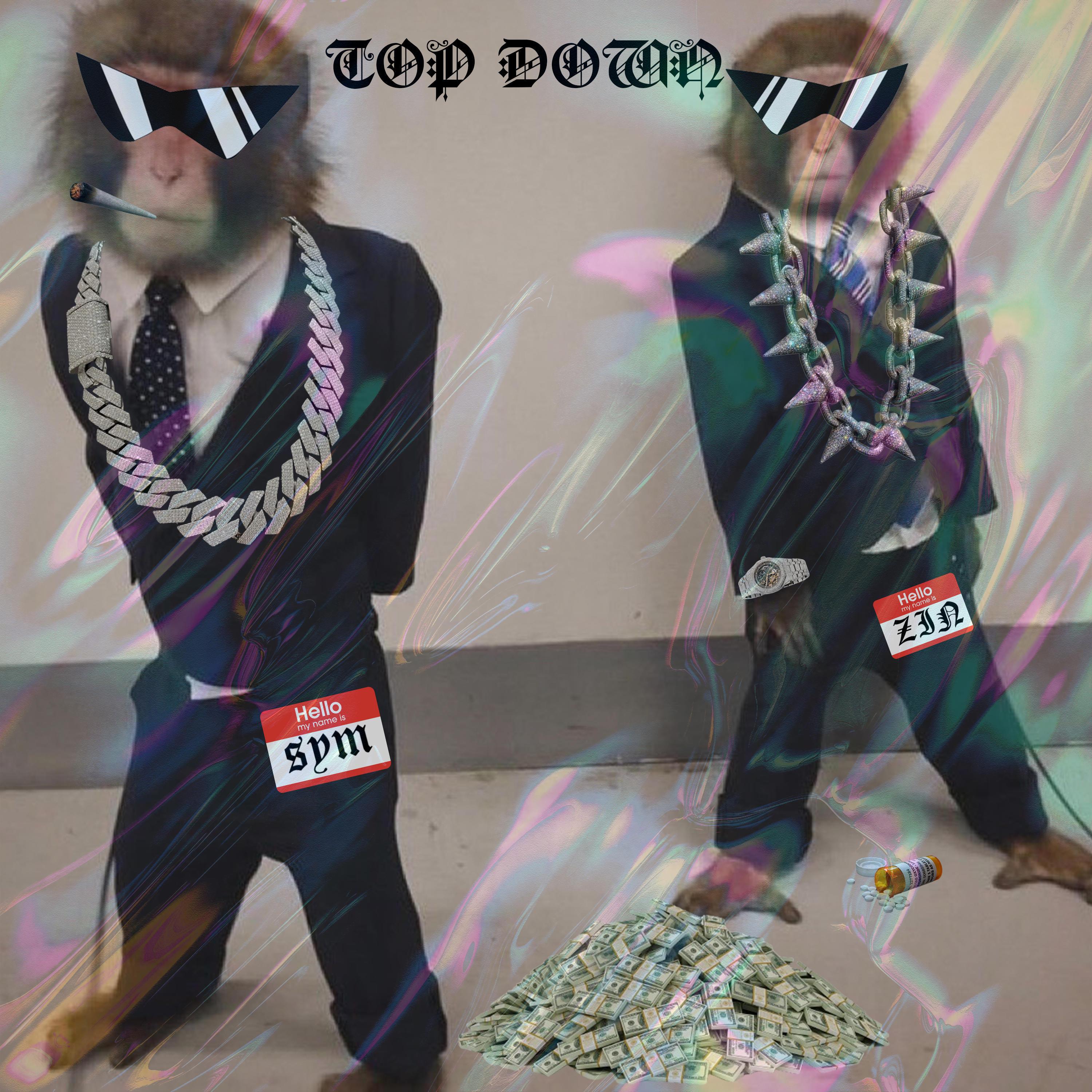 Zin - TOP DOWN (feat. sym)