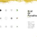 Bird of Paradise专辑