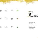 Bird of Paradise专辑