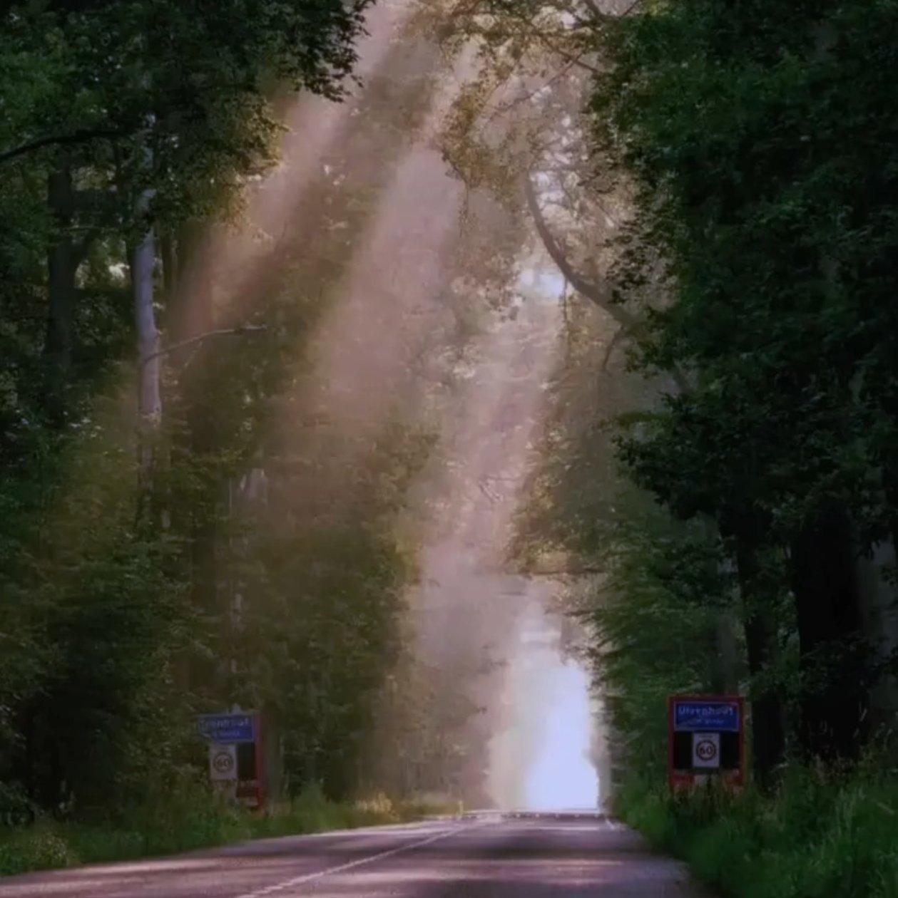 I have never changed in 19edo