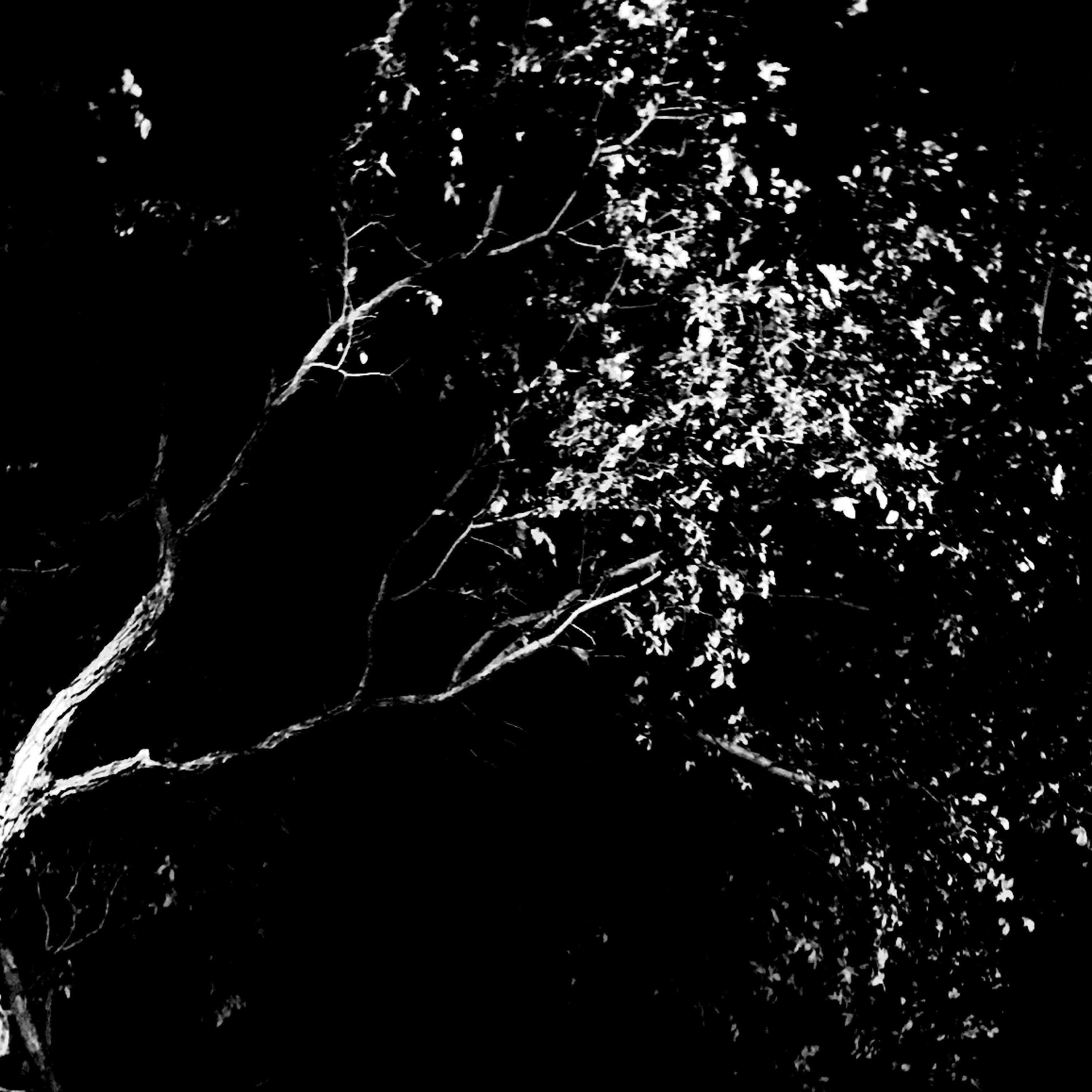 Crushed (Maxi-Single)