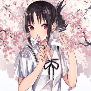 辉夜大小姐想让我告白 第二季