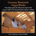 Hans Fagius - German Romantic Organ Works专辑