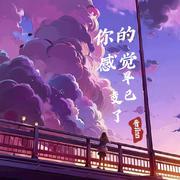 你的感觉早已变了