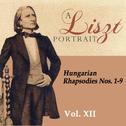 A Liszt Portrait, Vol. XII