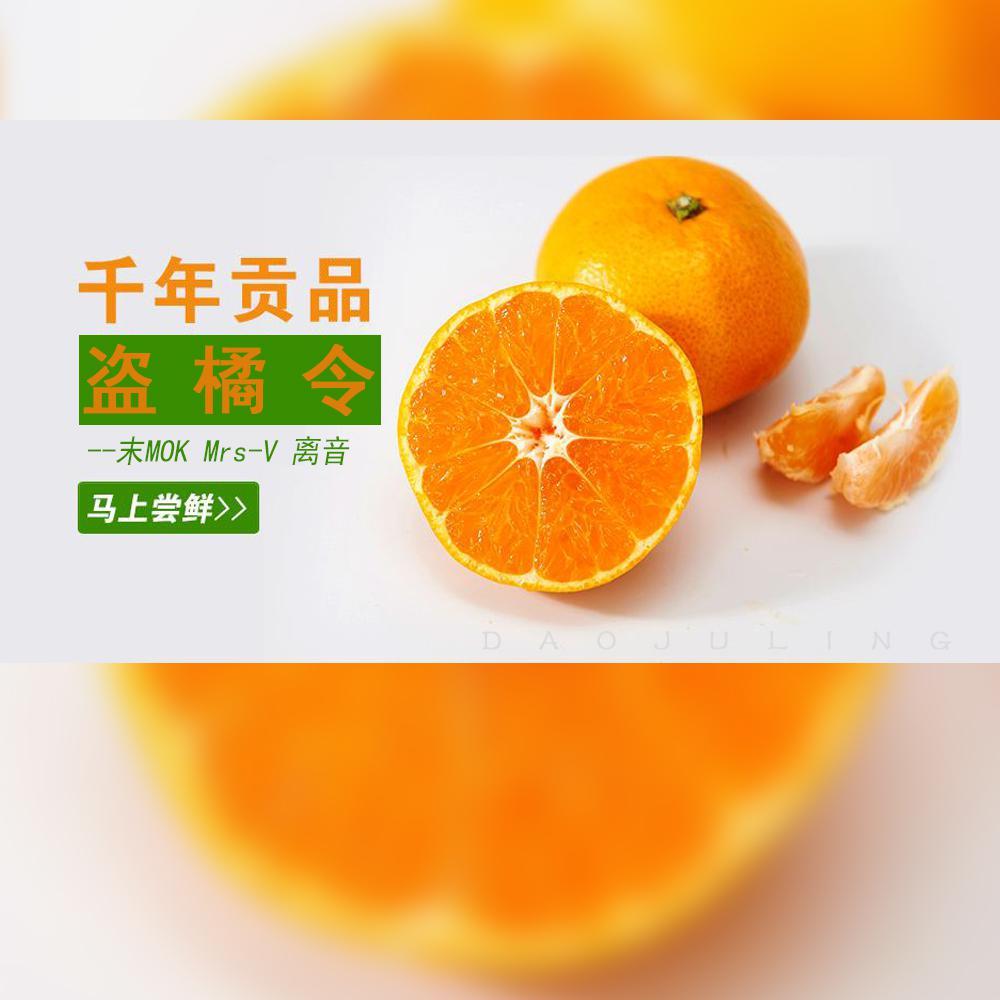 盗橘令