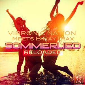 Vibronic Nation - Summer Move