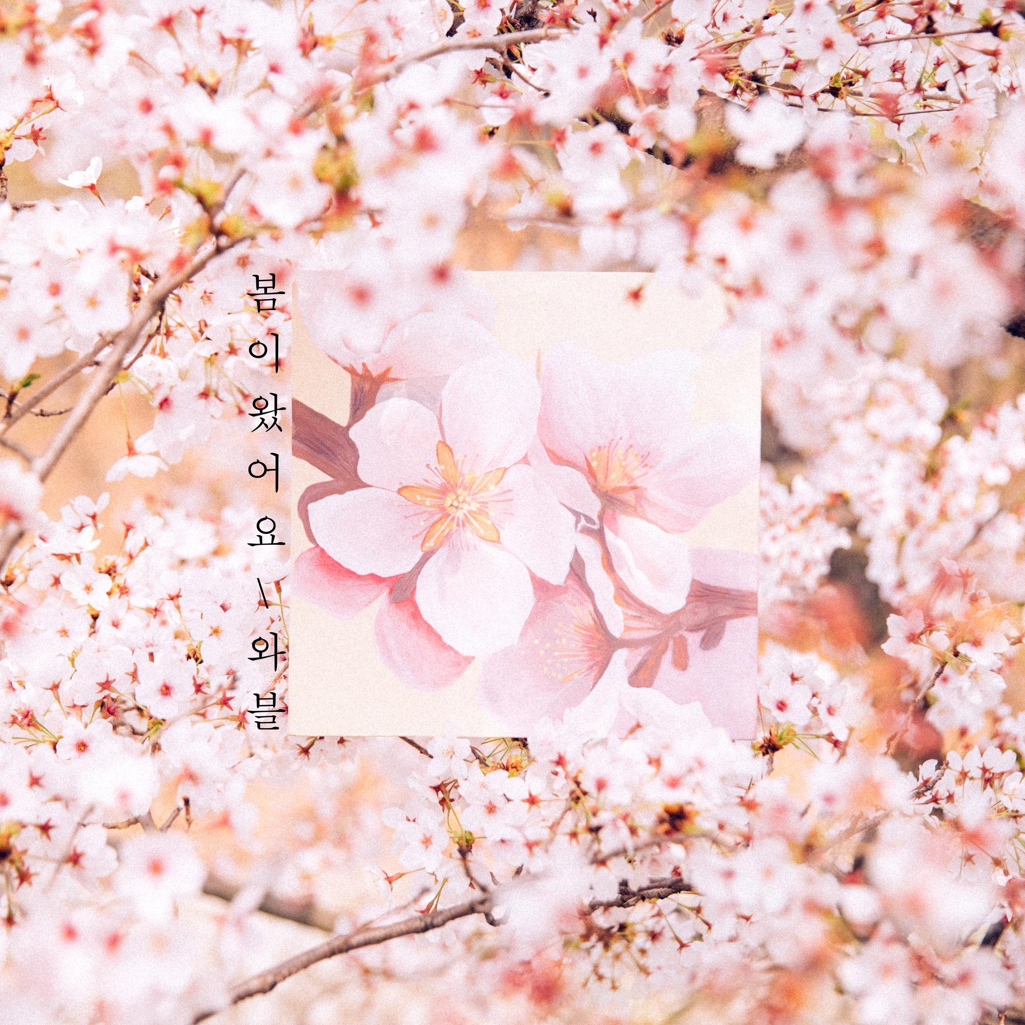 봄이 왔어요