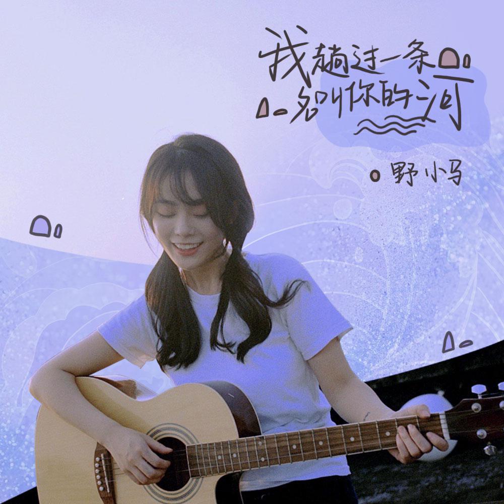野小马歌曲封面