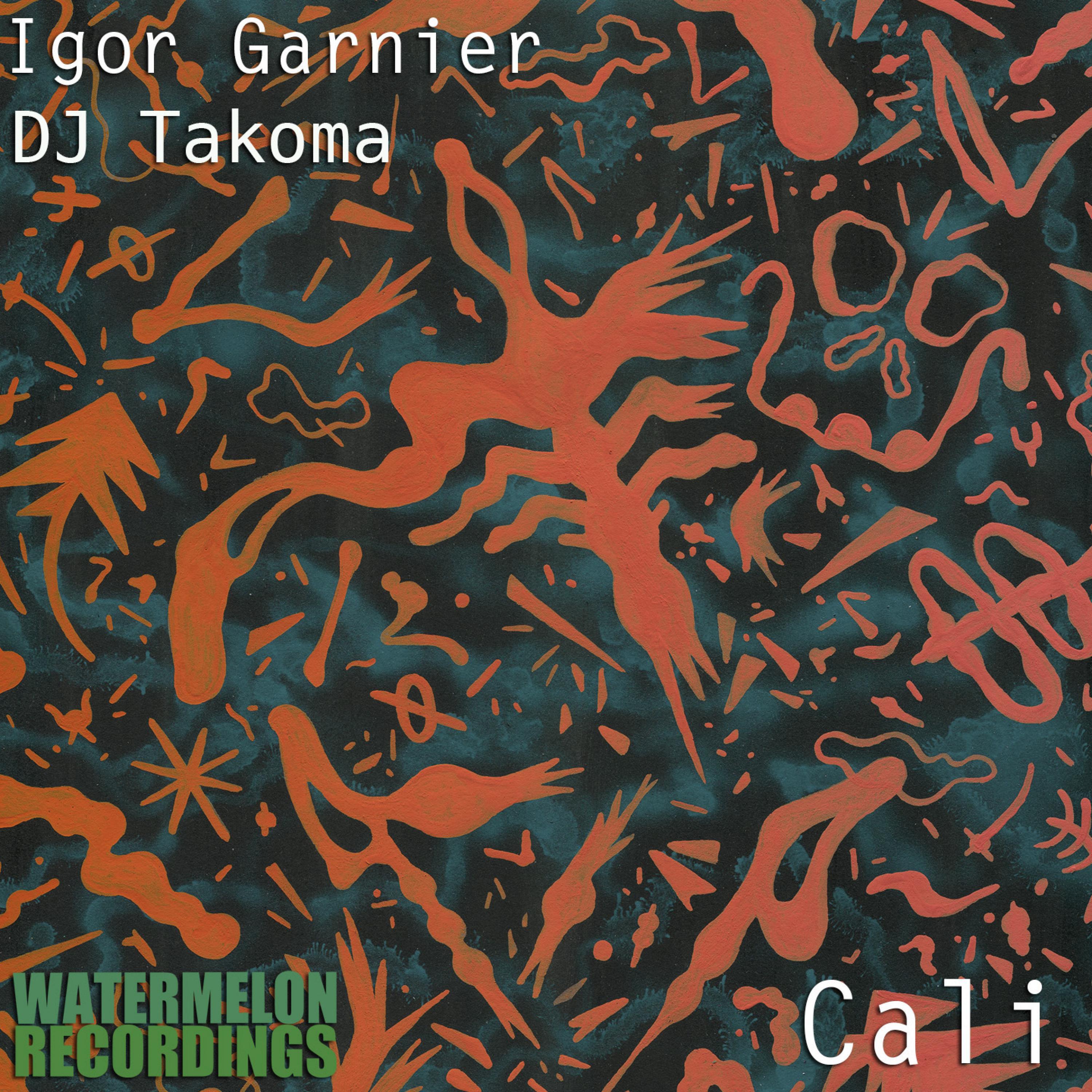 Igor Garnier - Madinga (Extended Mix)