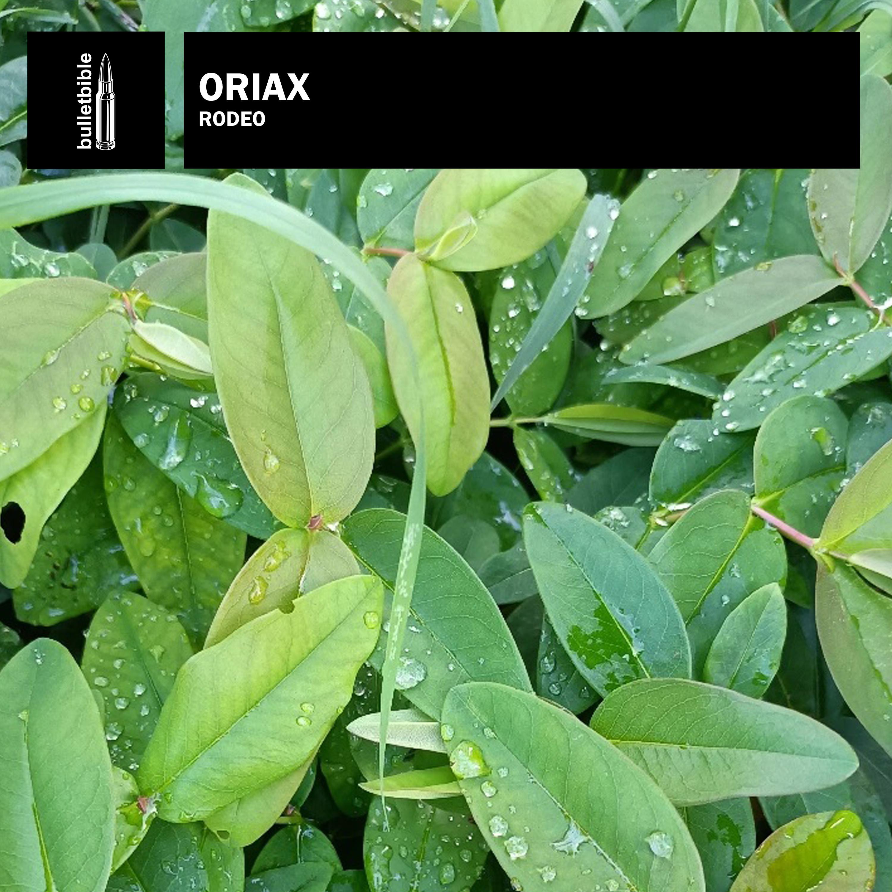 Oriax - Wish You Were
