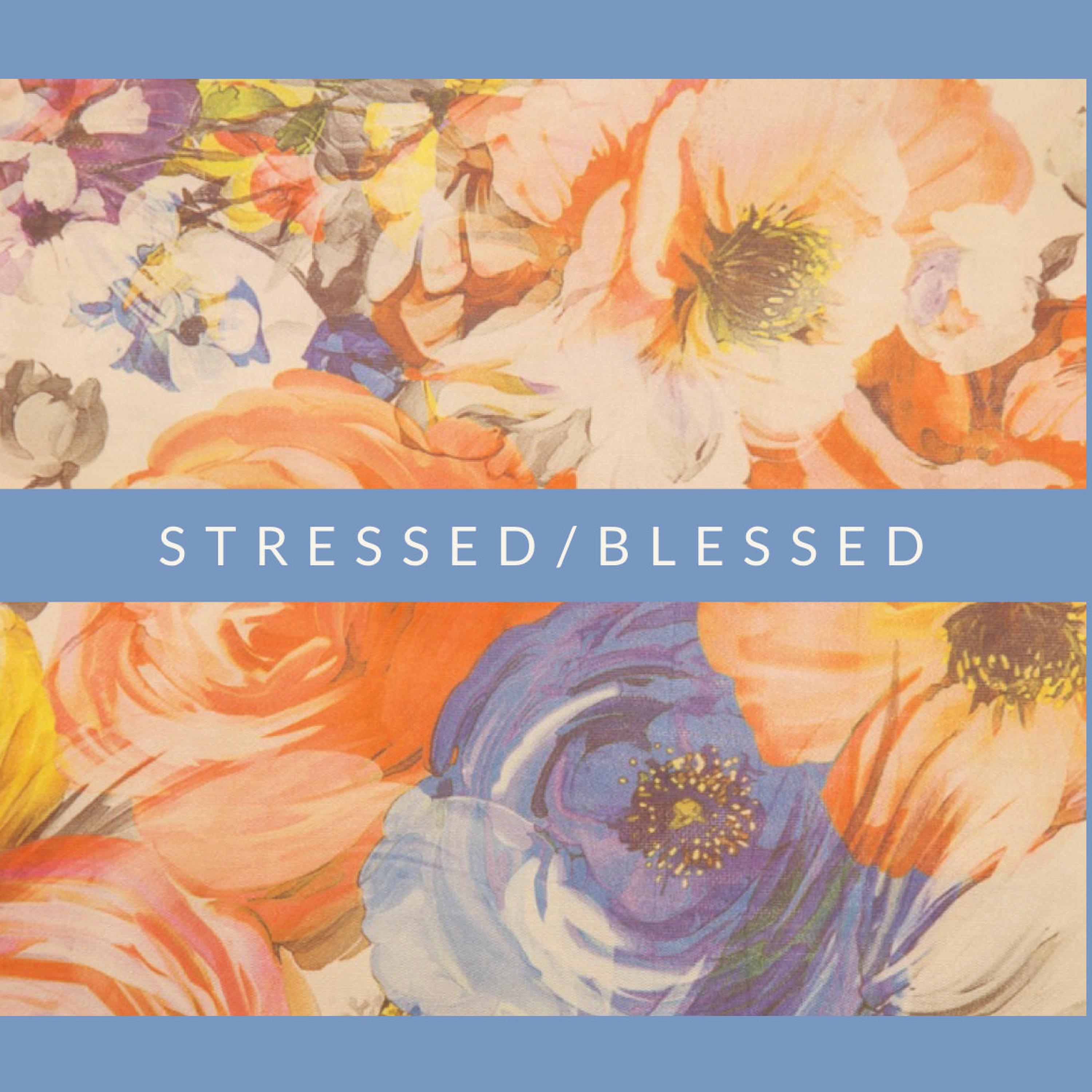 Sam Be Yourself - Stressed/Blessed