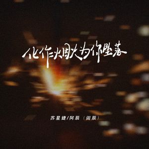 苏星婕、阿辰（阎辰） - 化作烟火为你坠落 (DJ R7版)