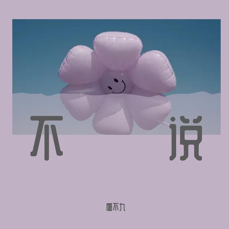 唐不九 - 不说