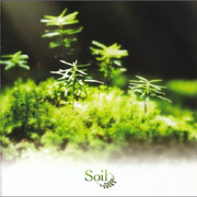 Soil专辑