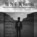 因为平凡Remix专辑