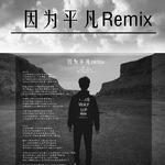 因为平凡Remix专辑