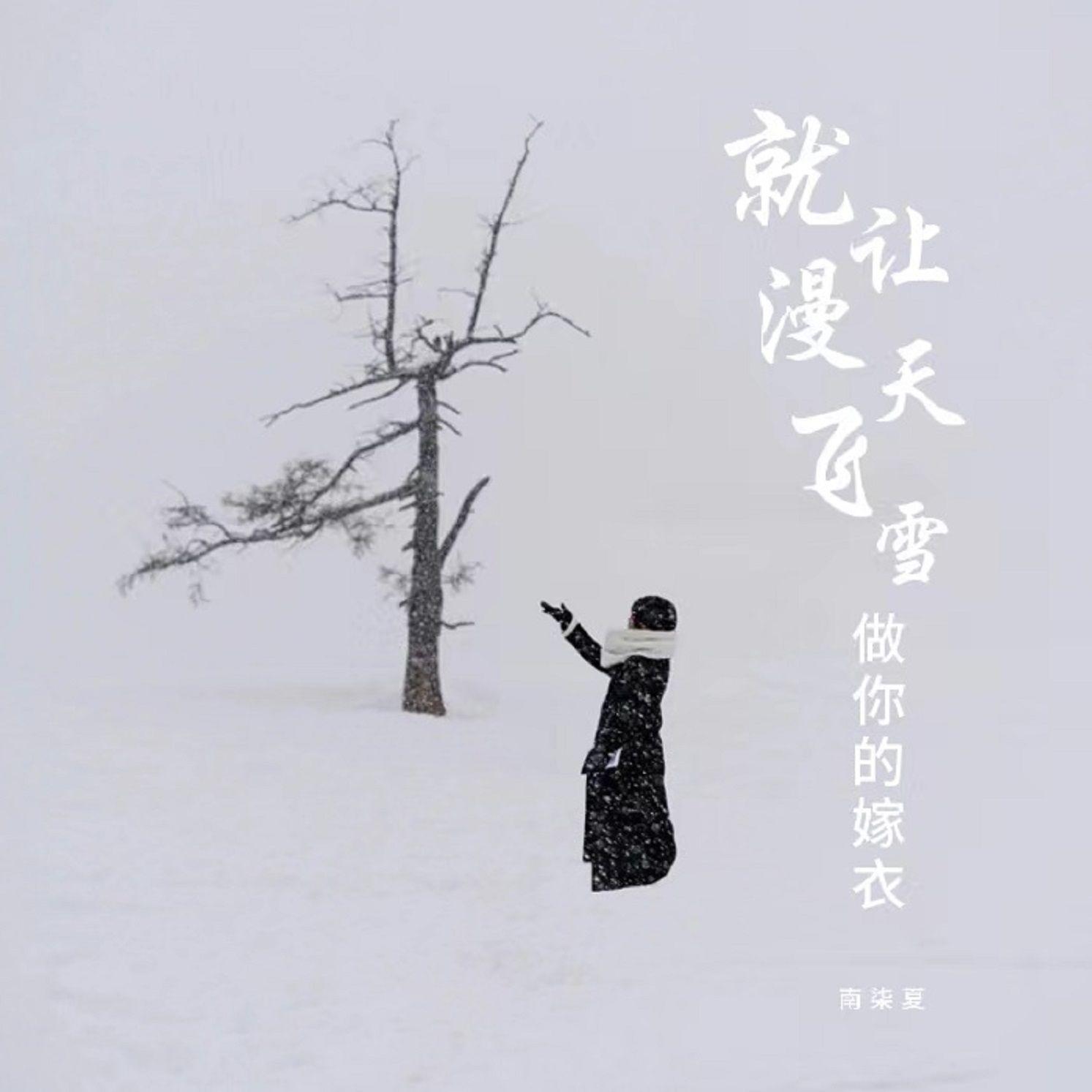 就让漫天飞雪做你的嫁衣