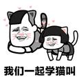 学喵叫