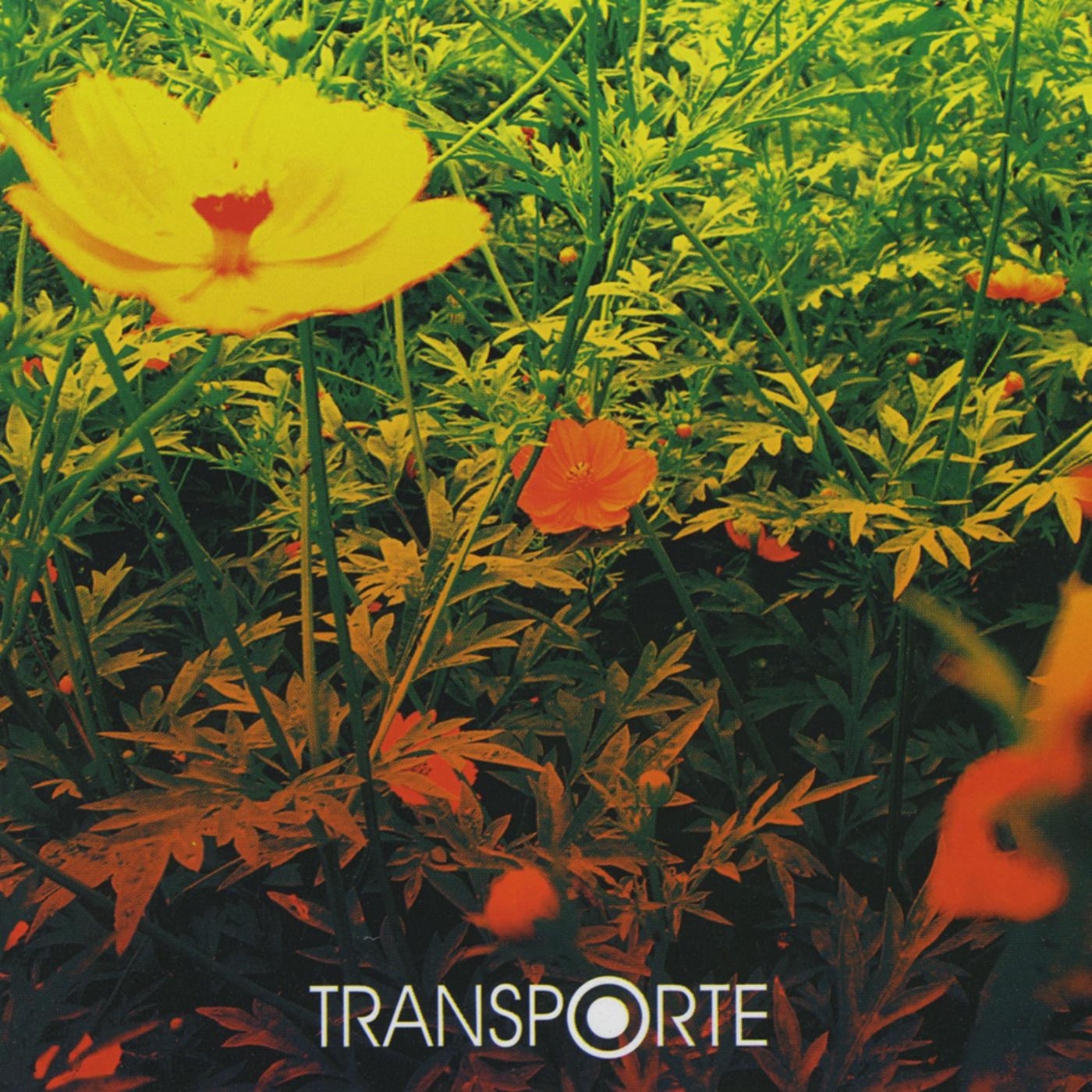 Transporte
