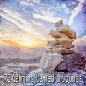 73 Calming Remedial Sounds专辑