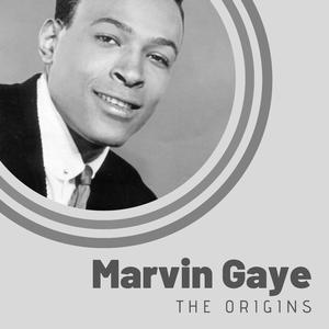 Pride And Joy - Marvin Gaye (PT karaoke) 带和声伴奏