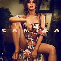 Inside Out - Camila Cabello (KV Instrumental) 无和声伴奏