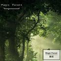 Magic Forest专辑