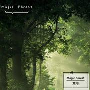 Magic Forest