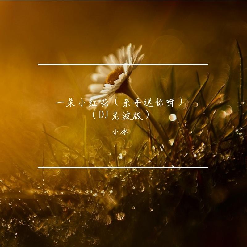 送你一朵小红花（DJ光波版）