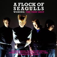 A Flock of Seagulls - Space Age Love Song (BB Instrumental) 无和声伴奏