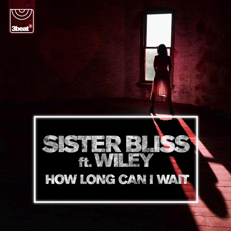 Sister Bliss - How Long Can I Wait (Dub Mix)