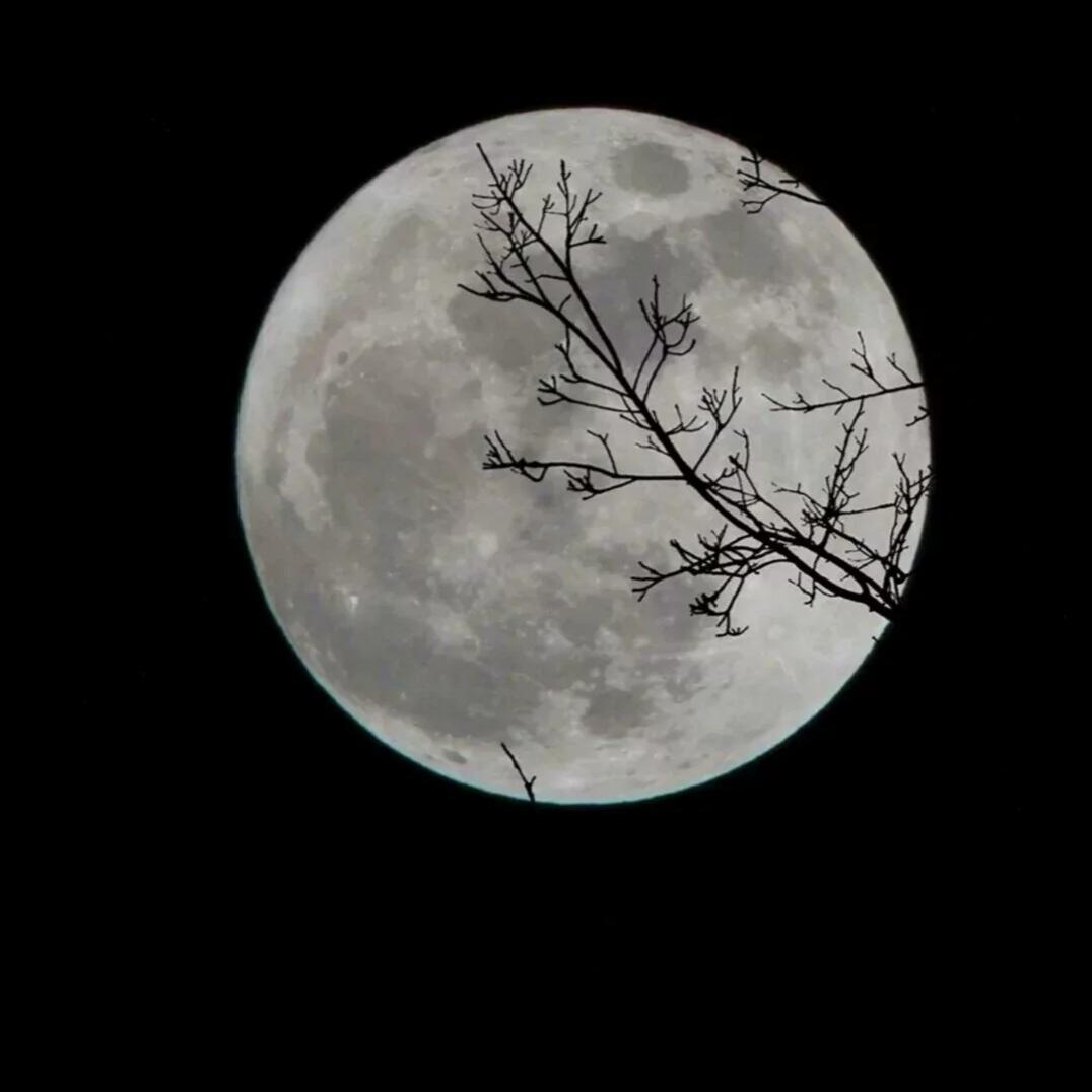 白月光与朱砂痣（温柔男版）