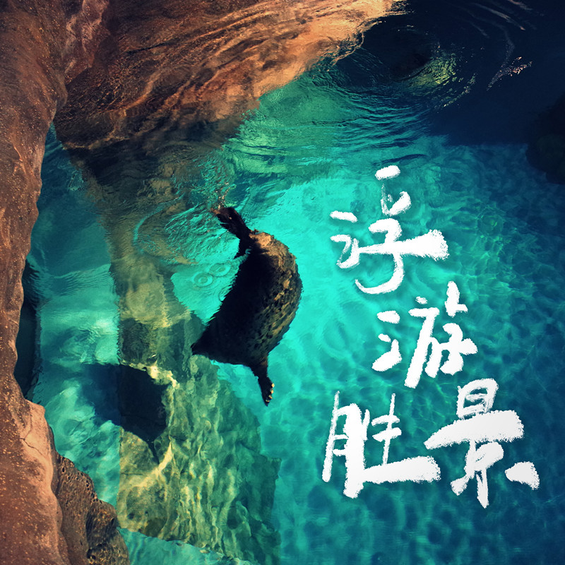 浮游胜景专辑